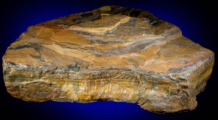 Tigers-Eye-1